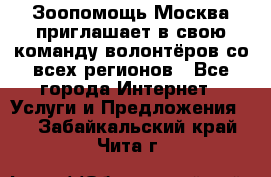 Зоопомощь.Москва приглашает в свою команду волонтёров со всех регионов - Все города Интернет » Услуги и Предложения   . Забайкальский край,Чита г.
